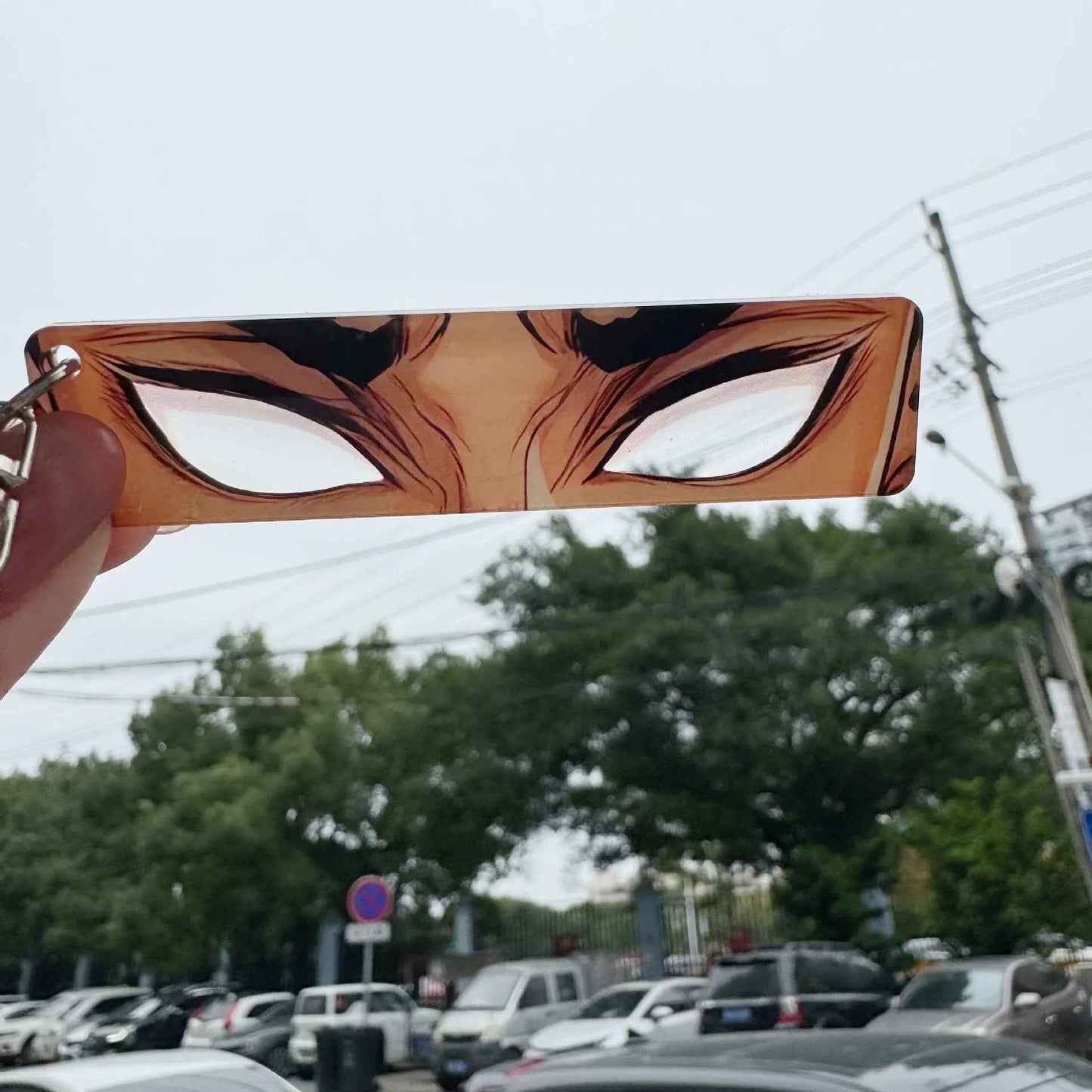 Demon Slayer Hashira Eye Collection