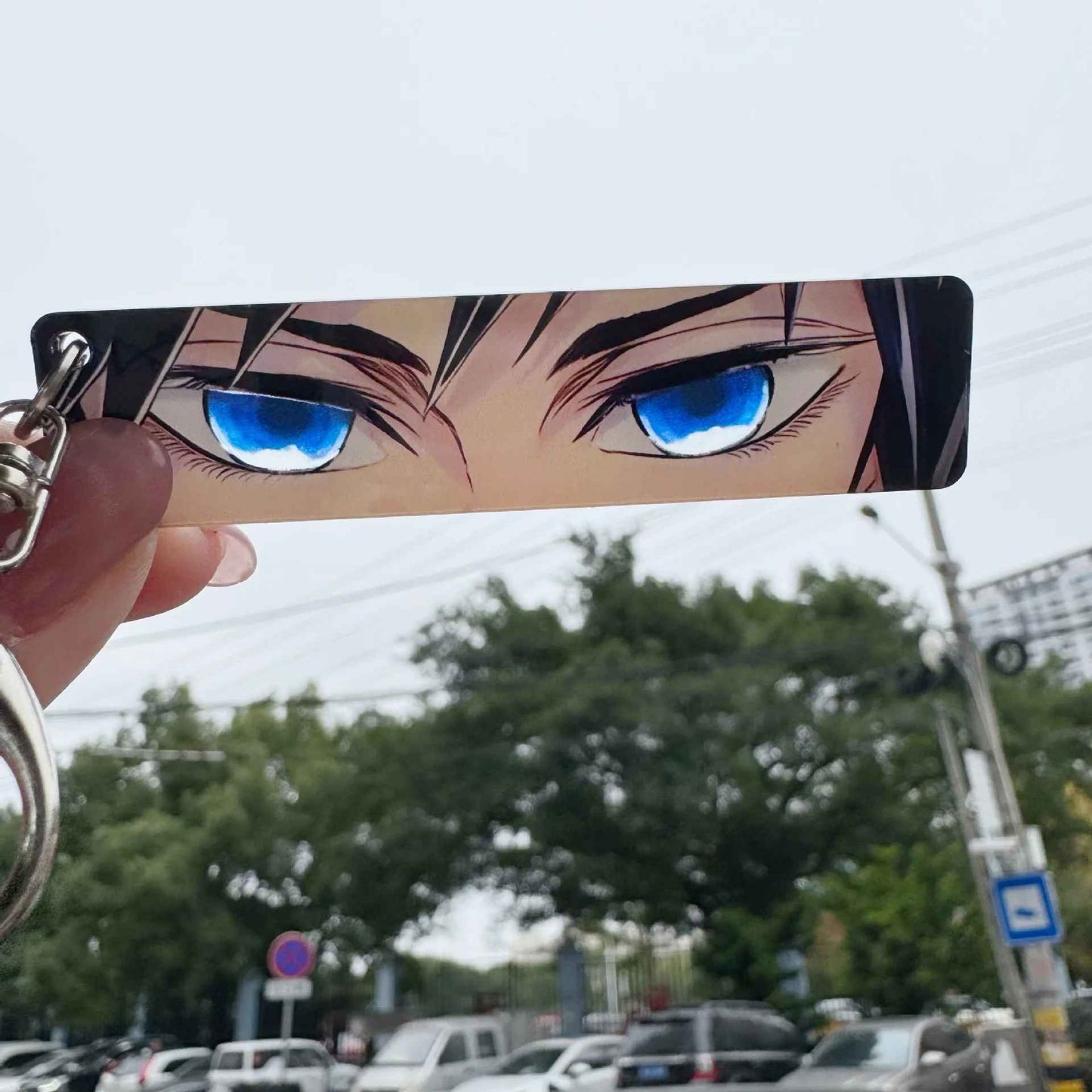 Demon Slayer Hashira Eye Collection